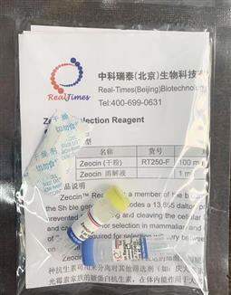 Zeocin 博来霉素