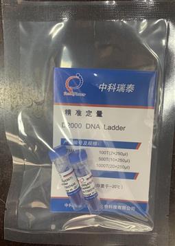 D2000 DNA ladder（100-2000bp）