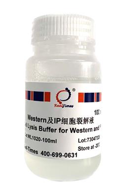 Western及IP细胞裂解液