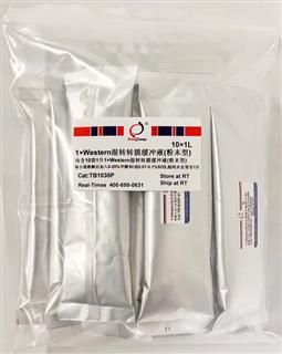 1×Western湿转转膜缓冲液（粉末型）