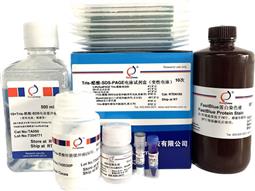 Tris-醋酸-SDS-PAGE电泳试剂盒（变性电泳，含预制胶）