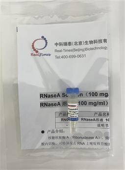 RNaseA溶液（100 mg/ml）
