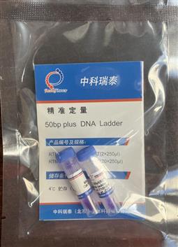 50bp plus DNA ladder（50-1000bp）