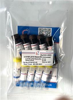 2×SYBR qPCR MasterMix