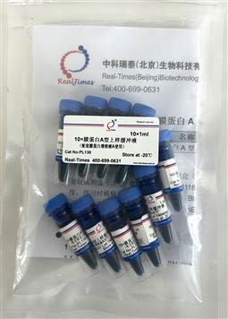2×膜蛋白A型上样缓冲液