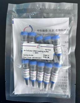 6×DNA上样缓冲液(三染料)
