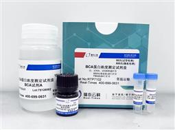 BCA蛋白浓度测定试剂盒