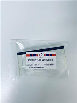 宽胶制胶托盘 60×120mm