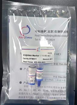 单链RNA Marker（10-50 nt）