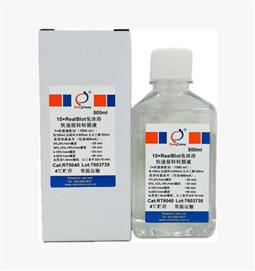 10×RealBlot 免冰浴快速湿转转膜液