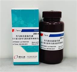 考马斯亮蓝蛋白染色液 常规法