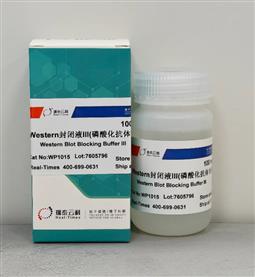 Western封闭液III（磷酸化抗体专用）