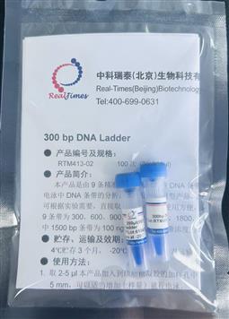 300bp DNA ladder（300-5000bp）