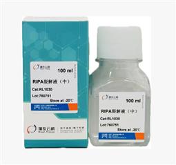 RIPA裂解液（中）100ml