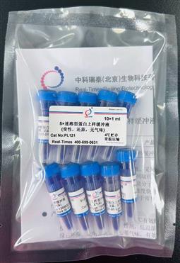 5×速溶型蛋白上样缓冲液(蓝色，变性，还原，无气味) 1ml 试用装