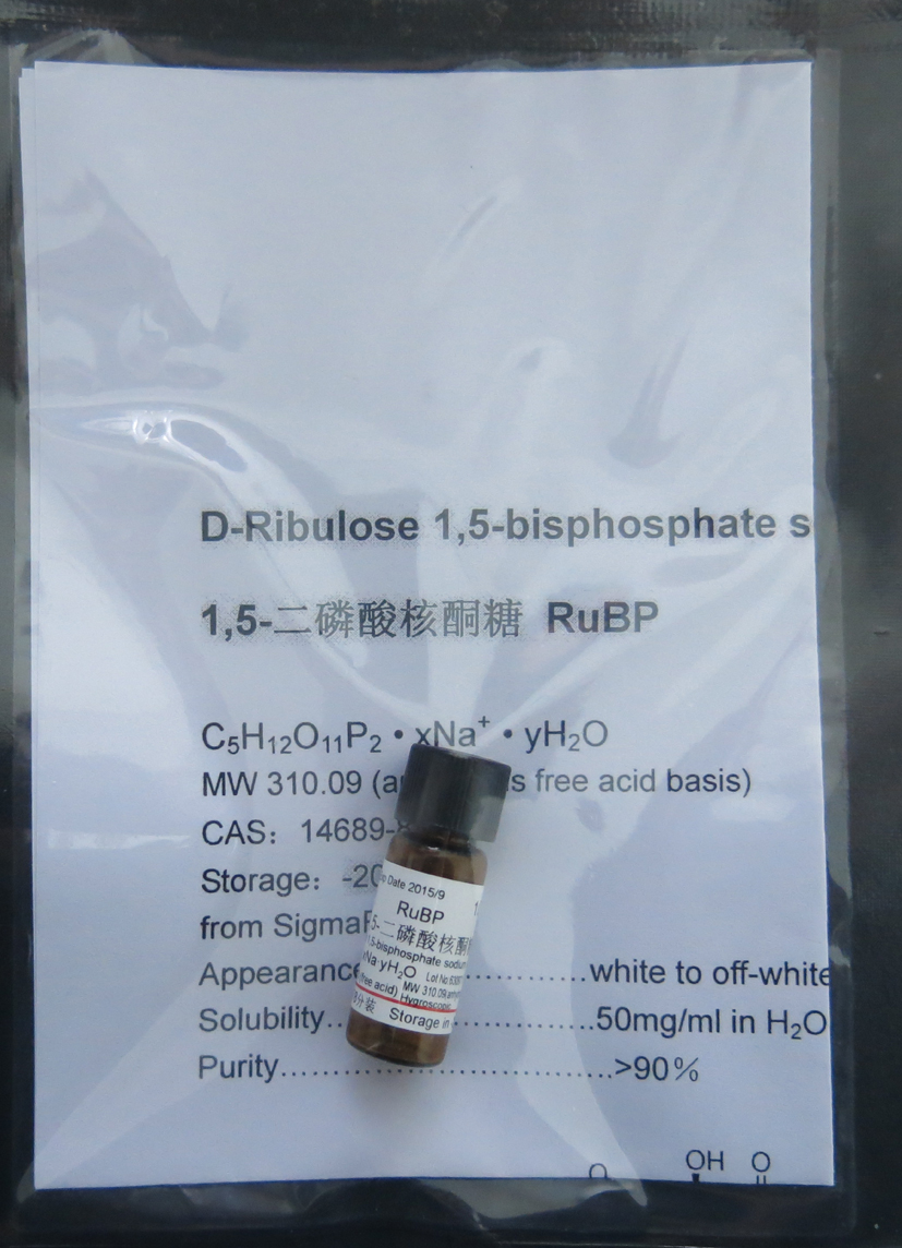 rubp15二磷酸核酮糖