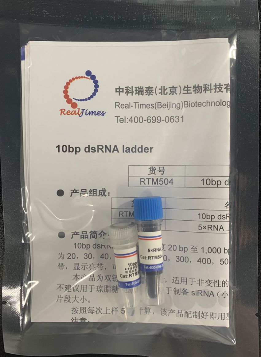 10bp双链RNA ladder